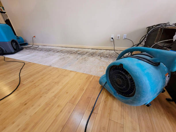 Professional Water Damage Repair technician working in Eloy, AZ